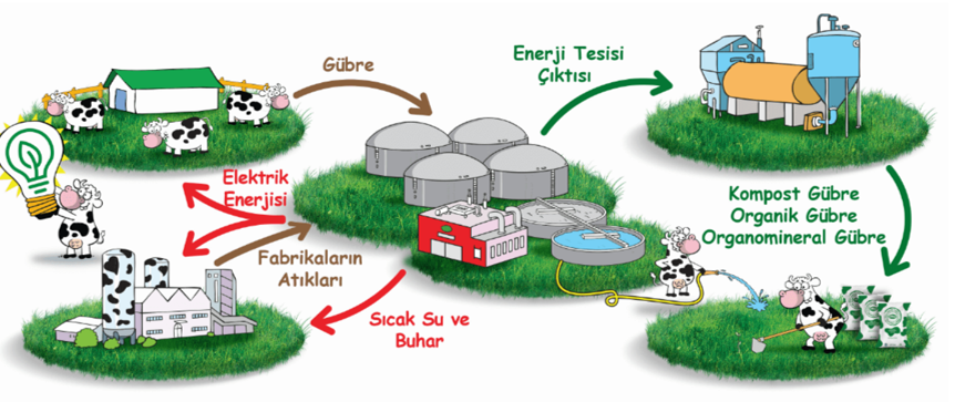 İş Modelimiz